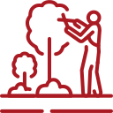 Tree Service